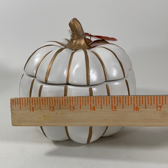 Ceramic Pumpkin Pot With lid By Whimsical Cuphoard - Picture 8 of 9